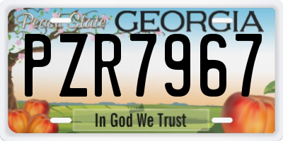 GA license plate PZR7967