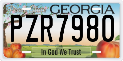 GA license plate PZR7980