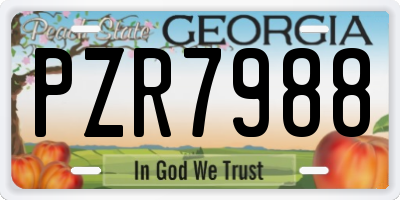 GA license plate PZR7988