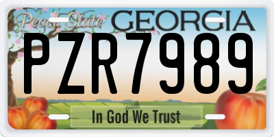 GA license plate PZR7989