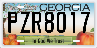GA license plate PZR8017