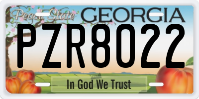 GA license plate PZR8022