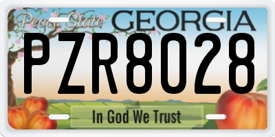 GA license plate PZR8028