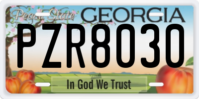 GA license plate PZR8030