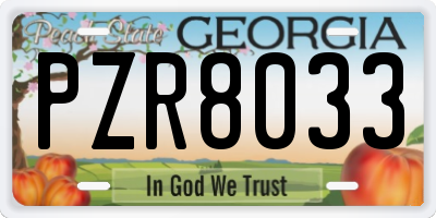 GA license plate PZR8033