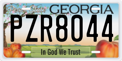 GA license plate PZR8044