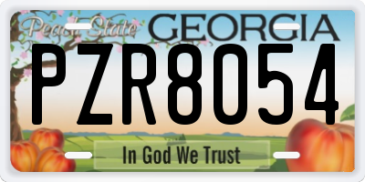 GA license plate PZR8054
