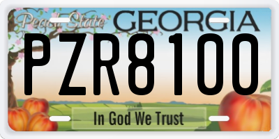 GA license plate PZR8100