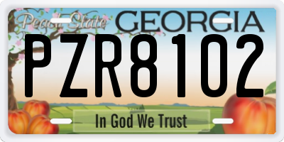 GA license plate PZR8102