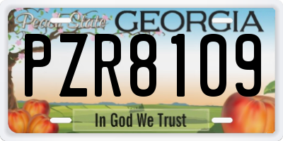 GA license plate PZR8109