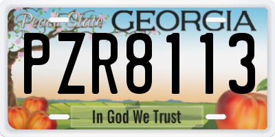 GA license plate PZR8113