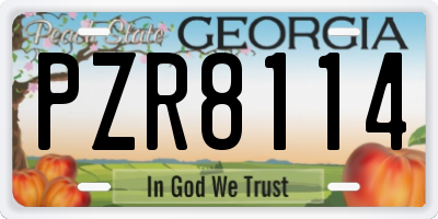 GA license plate PZR8114