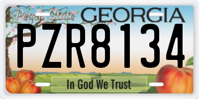 GA license plate PZR8134