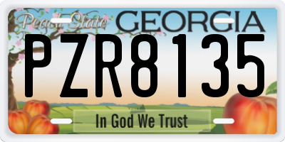 GA license plate PZR8135