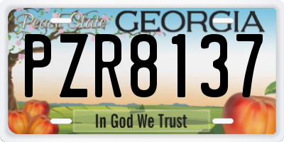 GA license plate PZR8137