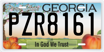 GA license plate PZR8161