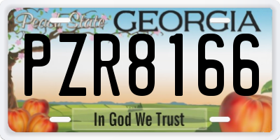 GA license plate PZR8166