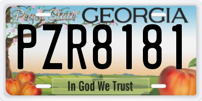 GA license plate PZR8181