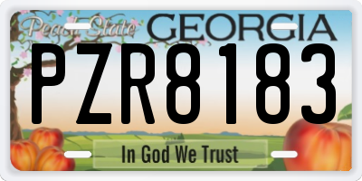 GA license plate PZR8183