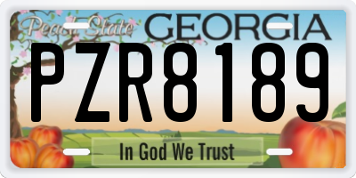 GA license plate PZR8189