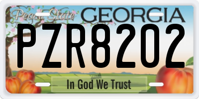 GA license plate PZR8202
