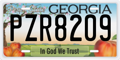 GA license plate PZR8209