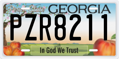 GA license plate PZR8211