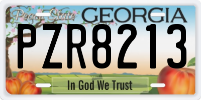 GA license plate PZR8213