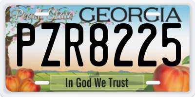 GA license plate PZR8225