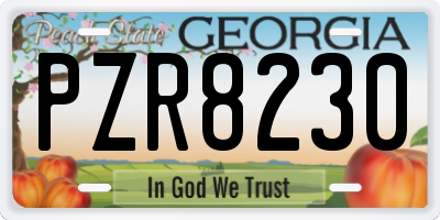 GA license plate PZR8230