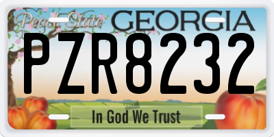 GA license plate PZR8232