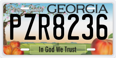 GA license plate PZR8236