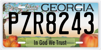 GA license plate PZR8243