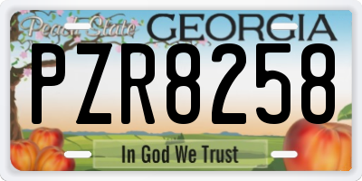 GA license plate PZR8258