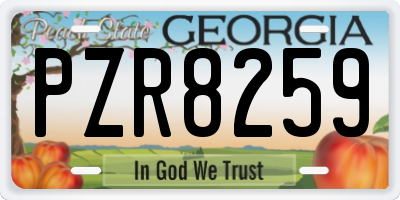 GA license plate PZR8259