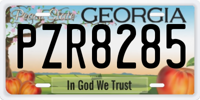 GA license plate PZR8285