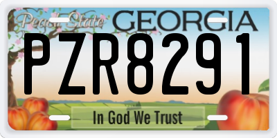 GA license plate PZR8291