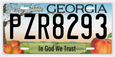 GA license plate PZR8293
