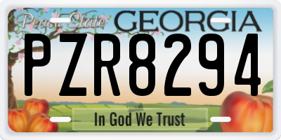 GA license plate PZR8294