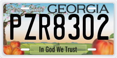 GA license plate PZR8302