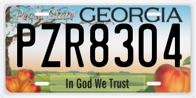 GA license plate PZR8304