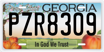 GA license plate PZR8309