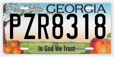 GA license plate PZR8318
