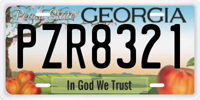 GA license plate PZR8321