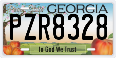 GA license plate PZR8328