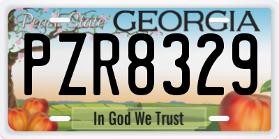 GA license plate PZR8329