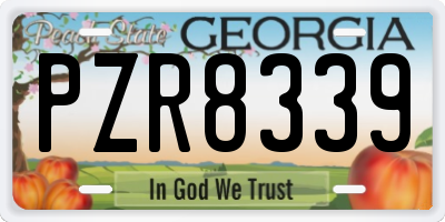 GA license plate PZR8339