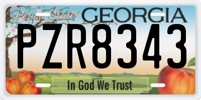 GA license plate PZR8343