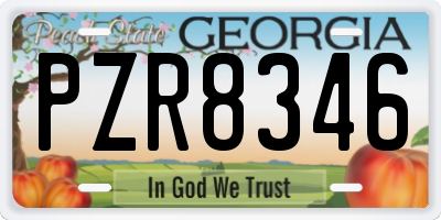 GA license plate PZR8346
