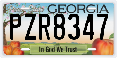 GA license plate PZR8347
